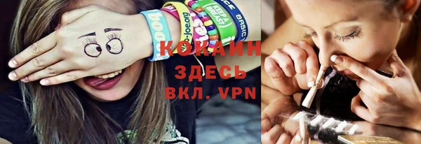 хмурый Алексин