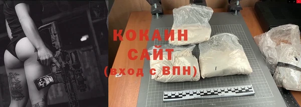 2c-b Алзамай
