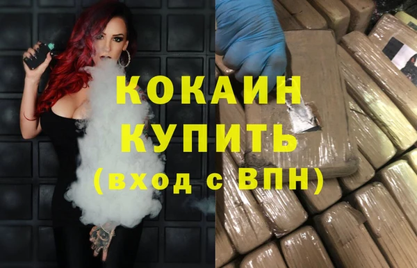 хмурый Алексин